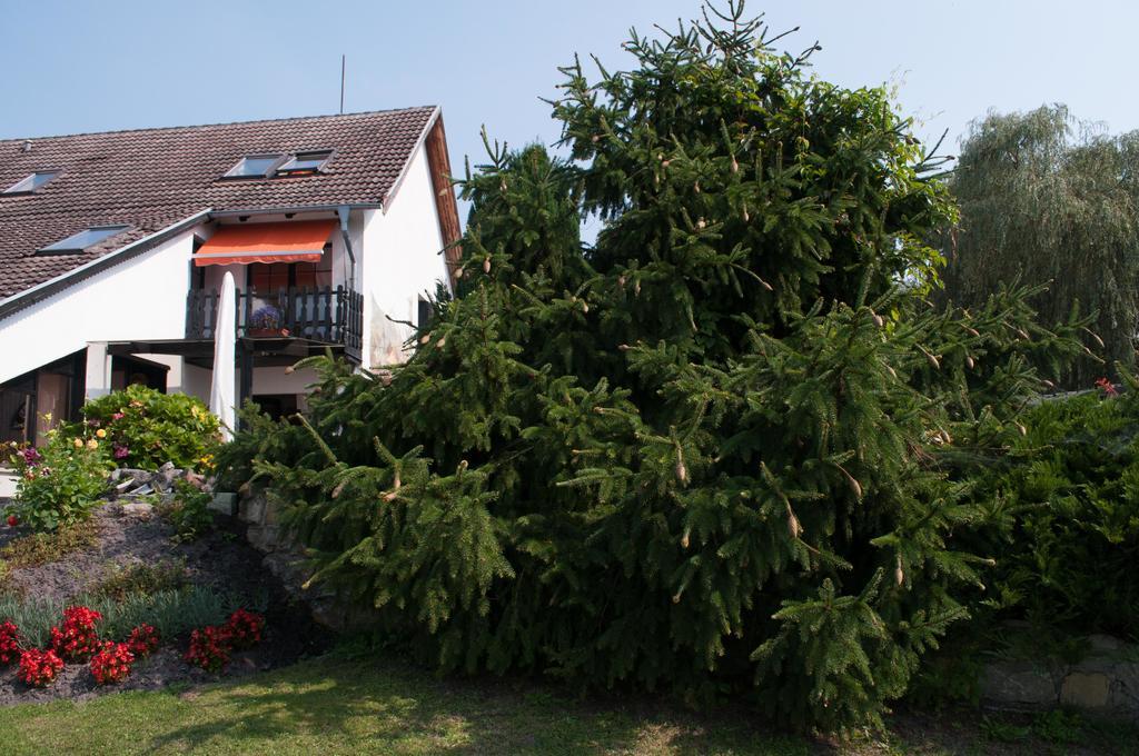 Apartment Edelweiss Egsdorf Экстерьер фото